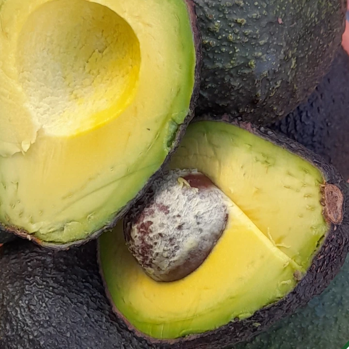 Hass Avocado