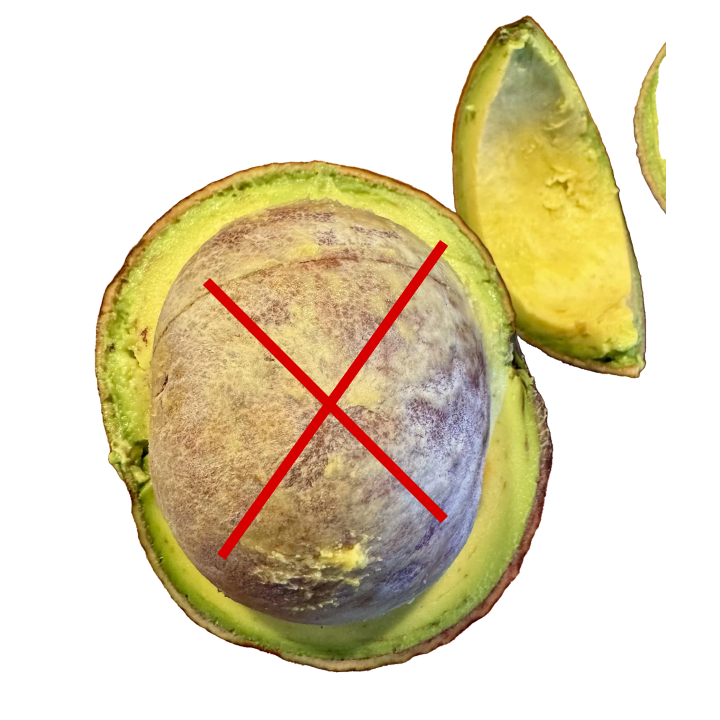 Hass Avocado