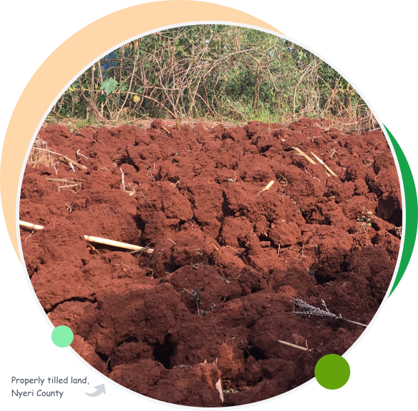 a tilled land